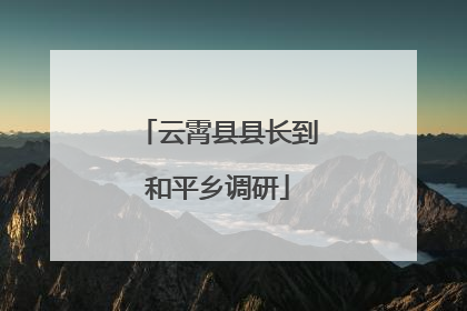 云霄县县长到和平乡调研