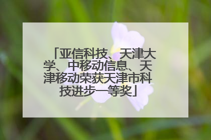亚信科技、天津大学、中移动信息、天津移动荣获天津市科技进步一等奖