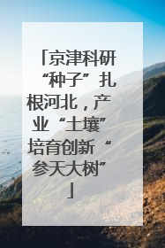 京津科研“种子”扎根河北，产业“土壤”培育创新“参天大树”
