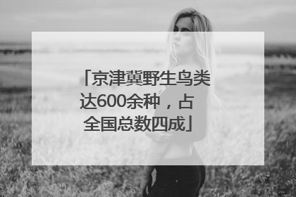 京津冀野生鸟类达600余种，占全国总数四成