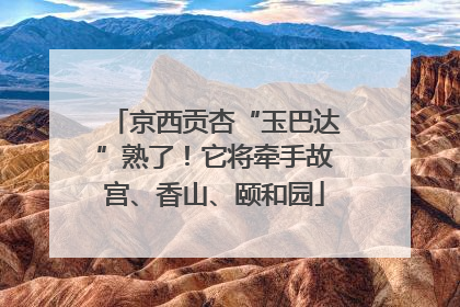 京西贡杏“玉巴达”熟了！它将牵手故宫、香山、颐和园