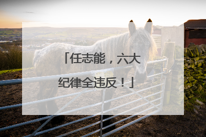 任志能，六大纪律全违反！