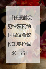 任振鹤会见博茨瓦纳国民议会议长凯奥拉佩采一行