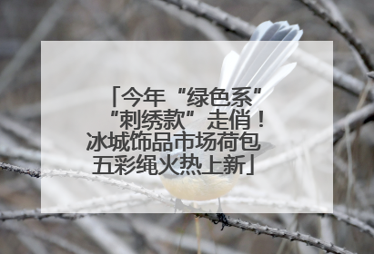 今年“绿色系”“刺绣款”走俏！冰城饰品市场荷包五彩绳火热上新