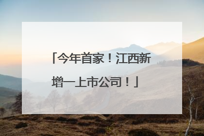 今年首家！江西新增一上市公司！