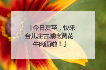 今日夏至，快来台儿庄古城吃黄花牛肉面啦！