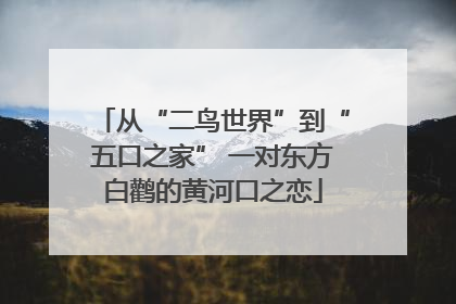 从“二鸟世界”到“五口之家” 一对东方白鹳的黄河口之恋
