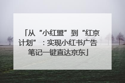 从“小红盟”到“红京计划”：实现小红书广告笔记一键直达京东