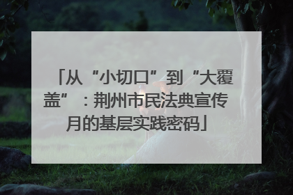 从“小切口”到“大覆盖”：荆州市民法典宣传月的基层实践密码