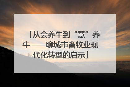 从会养牛到“慧”养牛——聊城市畜牧业现代化转型的启示
