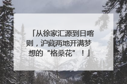 从徐家汇源到日喀则，沪藏两地开满梦想的“格桑花”！