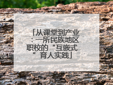 从课堂到产业：一所民族地区职校的“互嵌式”育人实践
