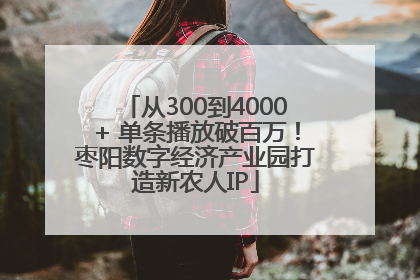 从300到4000+ 单条播放破百万！枣阳数字经济产业园打造新农人IP