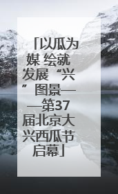 以瓜为媒 绘就发展“兴”图景——第37届北京大兴西瓜节启幕