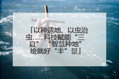 以种适地、以虫治虫……科技赋能“三夏” “智慧种地”绘就好“丰”景