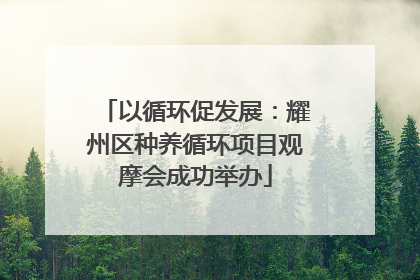 以循环促发展：耀州区种养循环项目观摩会成功举办