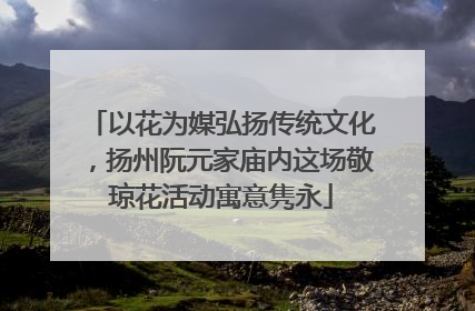 以花为媒弘扬传统文化，扬州阮元家庙内这场敬琼花活动寓意隽永