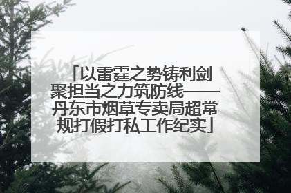 以雷霆之势铸利剑 聚担当之力筑防线——丹东市烟草专卖局超常规打假打私工作纪实