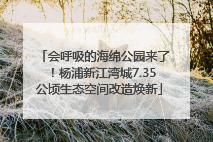 会呼吸的海绵公园来了！杨浦新江湾城7.35公顷生态空间改造焕新