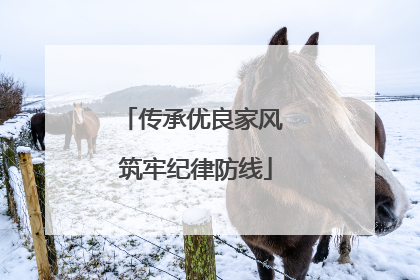 传承优良家风 筑牢纪律防线