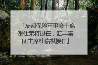 友邦保险董事会主席谢仕荣将退任，汇丰集团主席杜嘉祺接任