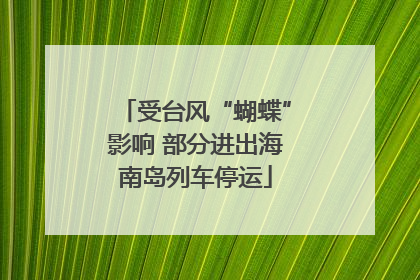 受台风“蝴蝶”影响 部分进出海南岛列车停运
