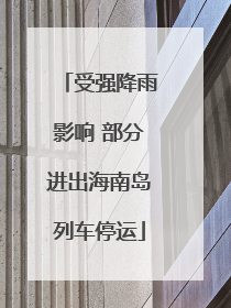 受强降雨影响 部分进出海南岛列车停运