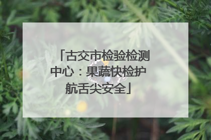 古交市检验检测中心：果蔬快检护航舌尖安全