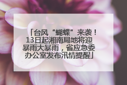 台风“蝴蝶”来袭！13日起湘南局地将迎暴雨大暴雨，省应急委办公室发布汛情提醒
