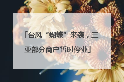 台风“蝴蝶”来袭，三亚部分商户暂时停业