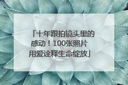 十年跟拍镜头里的感动！100张照片用爱诠释生命绽放