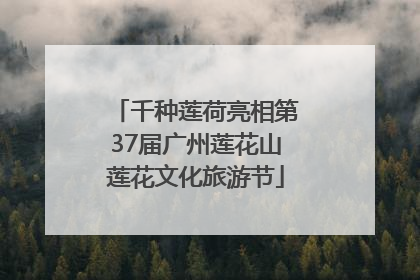千种莲荷亮相第37届广州莲花山莲花文化旅游节
