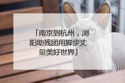 南京到杭州，浏阳助残团用脚步丈量美好世界
