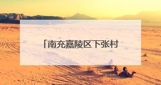 南充嘉陵区下张村里的龙舟赛，40亩的堰塘里来回跑