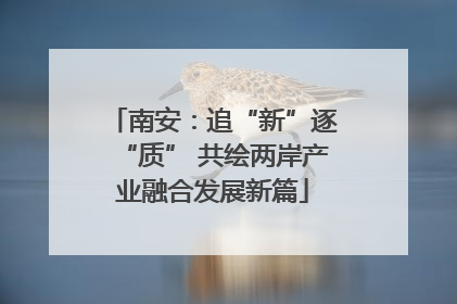 南安：追“新”逐“质” 共绘两岸产业融合发展新篇