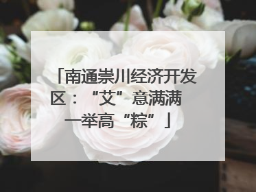 南通崇川经济开发区：“艾”意满满 一举高“粽”
