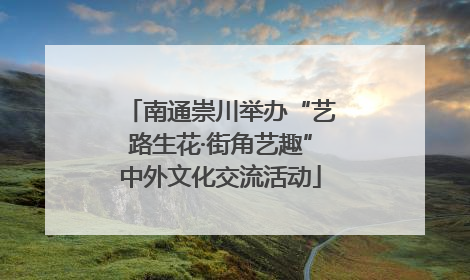 南通崇川举办“艺路生花·街角艺趣”中外文化交流活动