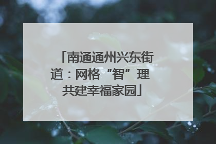 南通通州兴东街道：网格“智”理 共建幸福家园