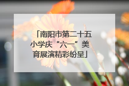 南阳市第二十五小学庆“六一”美育展演精彩纷呈