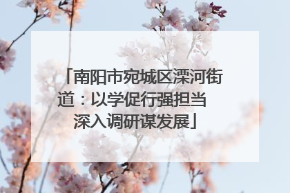 南阳市宛城区溧河街道：以学促行强担当 深入调研谋发展