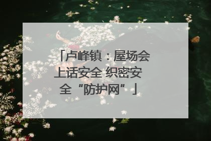 卢峰镇：屋场会上话安全 织密安全“防护网”