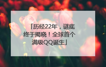 历经22年，谜底终于揭晓！全球首个满级QQ诞生