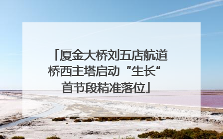 厦金大桥刘五店航道桥西主塔启动“生长” 首节段精准落位