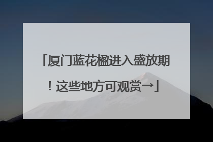 厦门蓝花楹进入盛放期！这些地方可观赏→