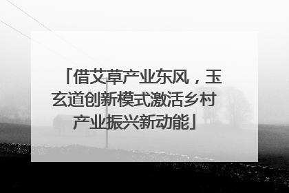 借艾草产业东风，玉玄道创新模式激活乡村产业振兴新动能