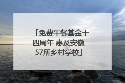 免费午餐基金十四周年 惠及安徽57所乡村学校