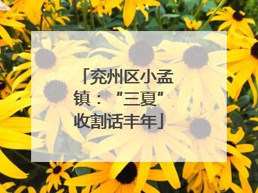 兖州区小孟镇：“三夏”收割话丰年
