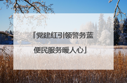 党建红引领警务蓝 便民服务暖人心