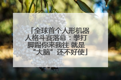 全球首个人形机器人格斗赛落幕：拳打脚踢你来我往 就是“大脑”还不好使