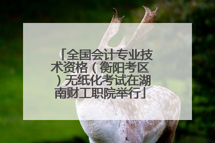 全国会计专业技术资格（衡阳考区）无纸化考试在湖南财工职院举行